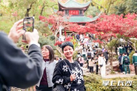 沉醉“枫”景！爱晚亭进入最佳观赏期