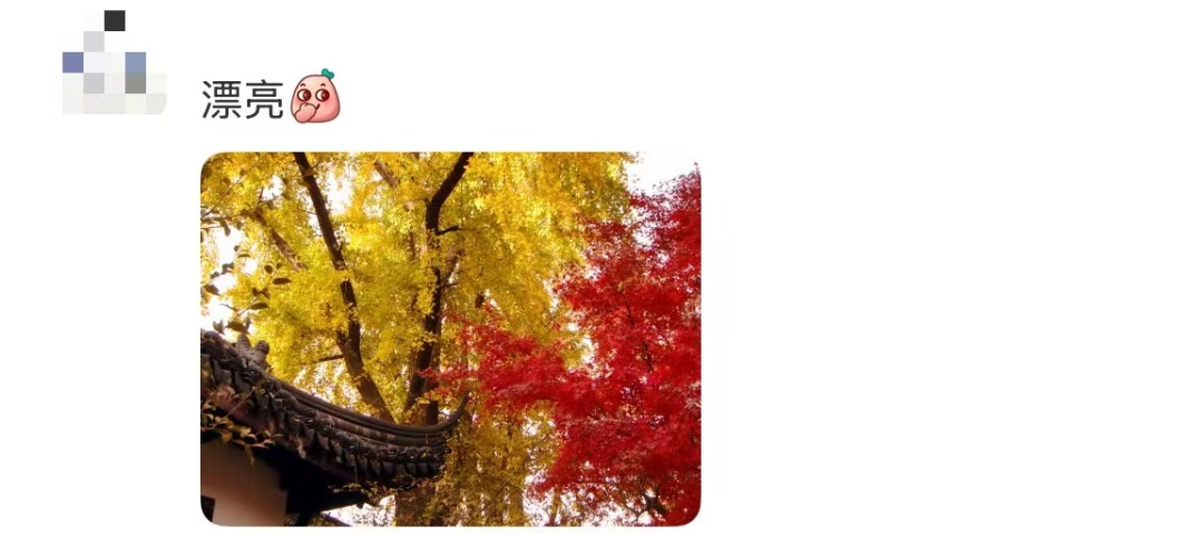 秋日特调！南京“西红柿炒蛋”皮肤已限时上线！