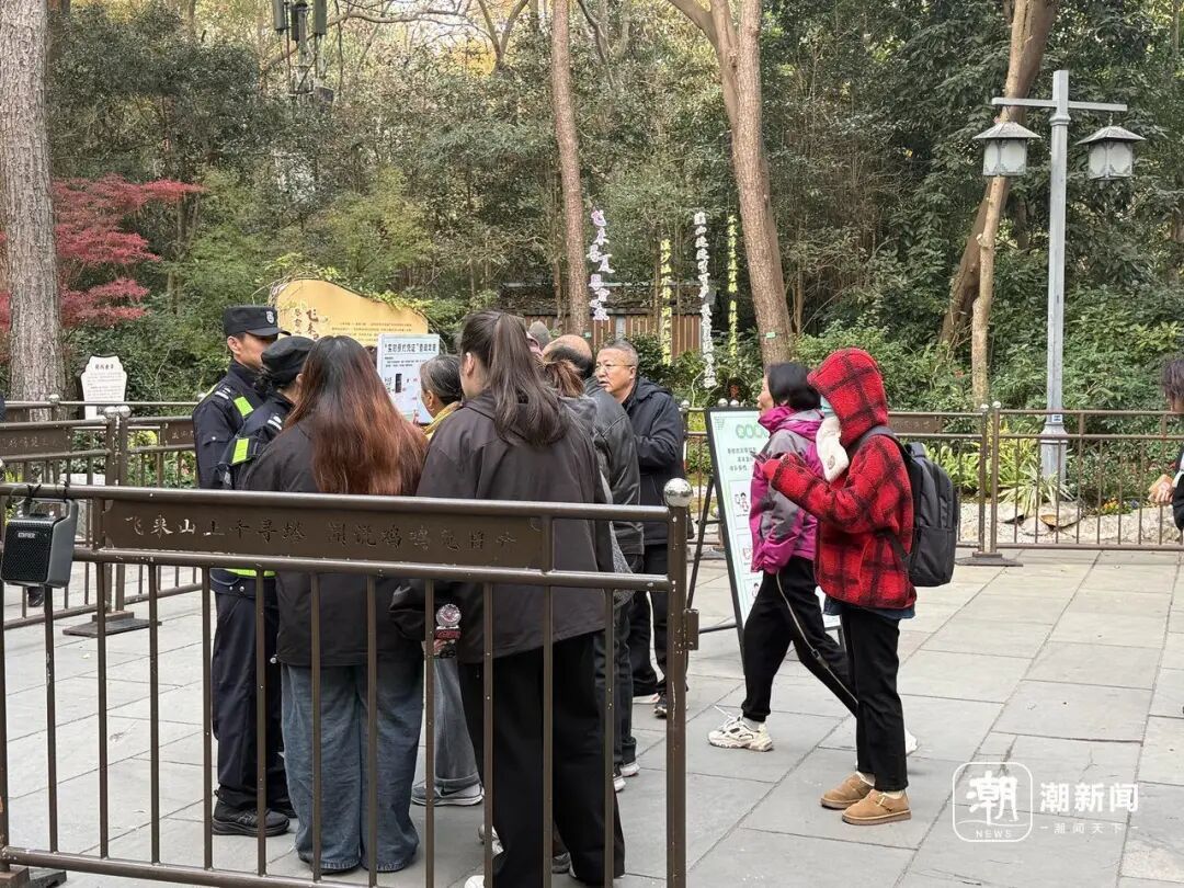 知名景区，今起免票！上海男子直呼幸运！游客量激增，一早就排长队，这东西一定要带