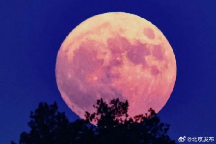 别错过！今年最后一次——