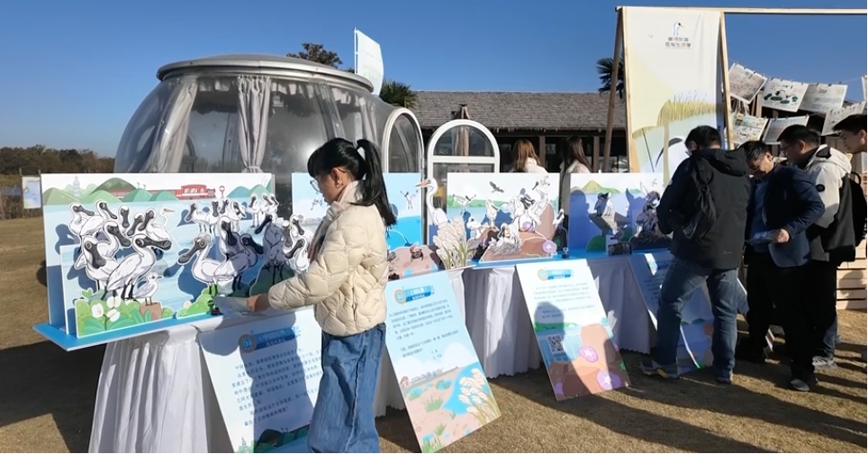 【探索】观群鸟、学科普！2025崇明东滩观鸟生活季启幕→