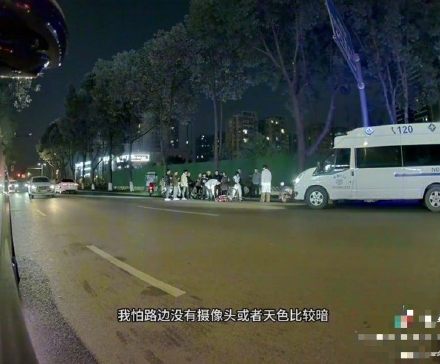 成都一女子骑自行车被宠物狗绊倒致颅骨骨折：目前女子已出院，交警认定狗主人全责