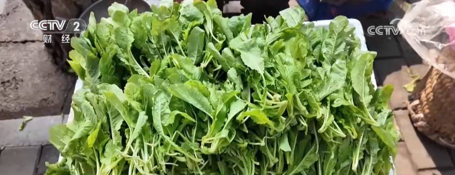 “潮汐摊区” 巧解城市治理难题 “关键小事”见证民生温度