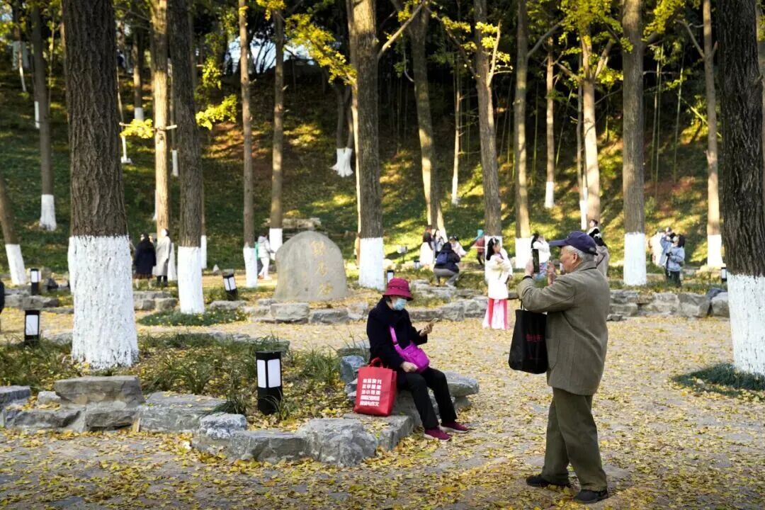 秋日特调！南京“西红柿炒蛋”皮肤已限时上线！