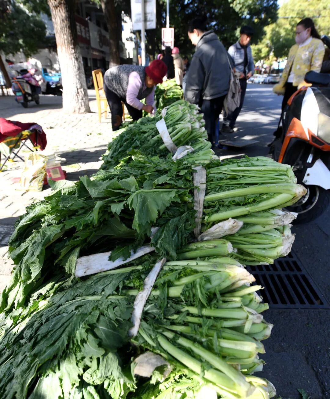 终于上市！一天卖出三四百斤！很多人爱吃