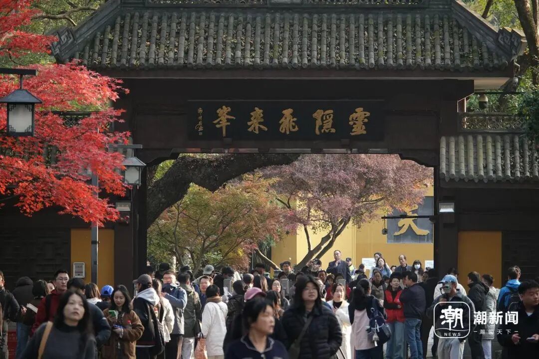 知名景区，今起免票！上海男子直呼幸运！游客量激增，一早就排长队，这东西一定要带