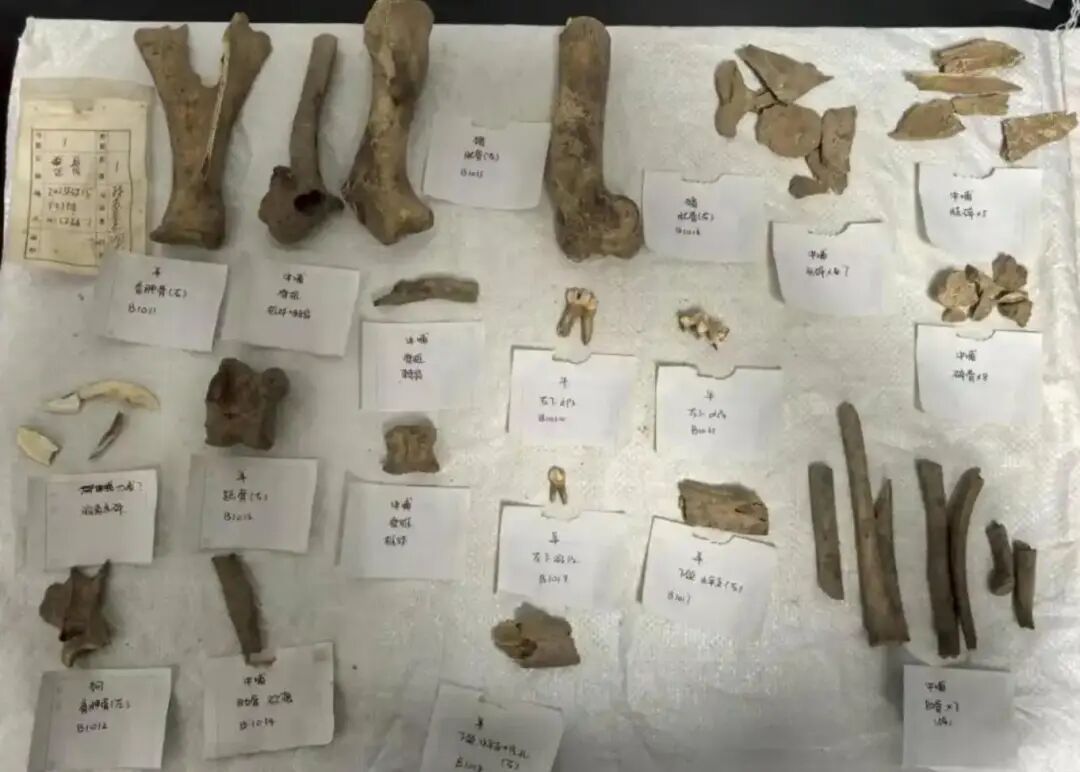 箭扣长城首次发现崇祯五年火炮！北京最新考古研究成果发布