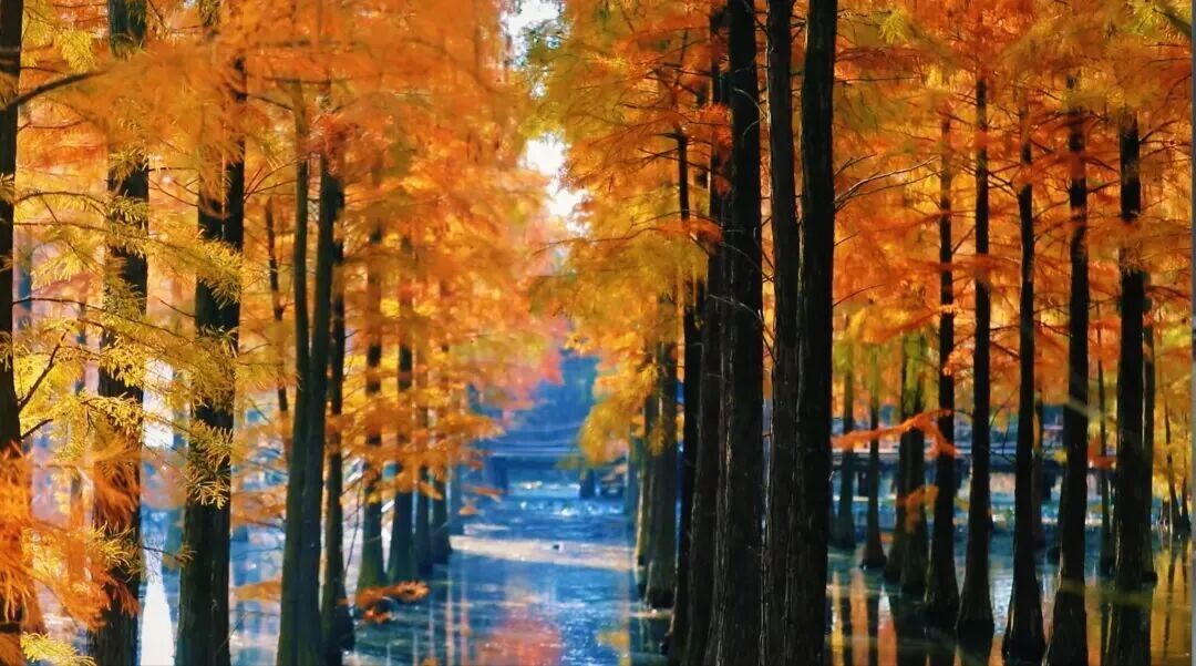 秋日特调！南京“西红柿炒蛋”皮肤已限时上线！