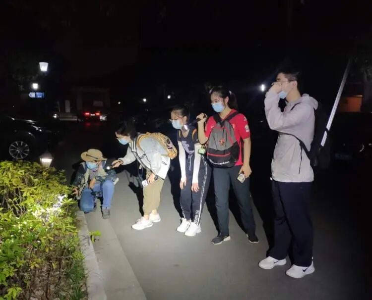 上海又有两个区首次发现!分布区域持续扩大,居民从害怕到逐渐接受 上海又有两个区首次发现!分布区域持续扩大,居民从害怕到逐渐接受