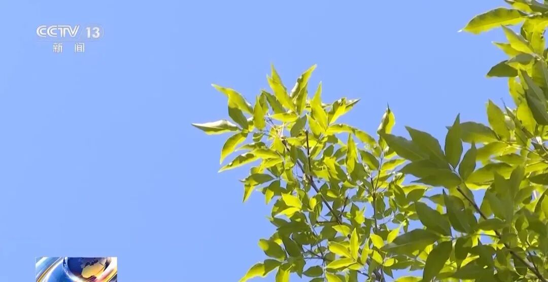 “吸毒记录等将被封存”引热议，权威专家解疑释惑