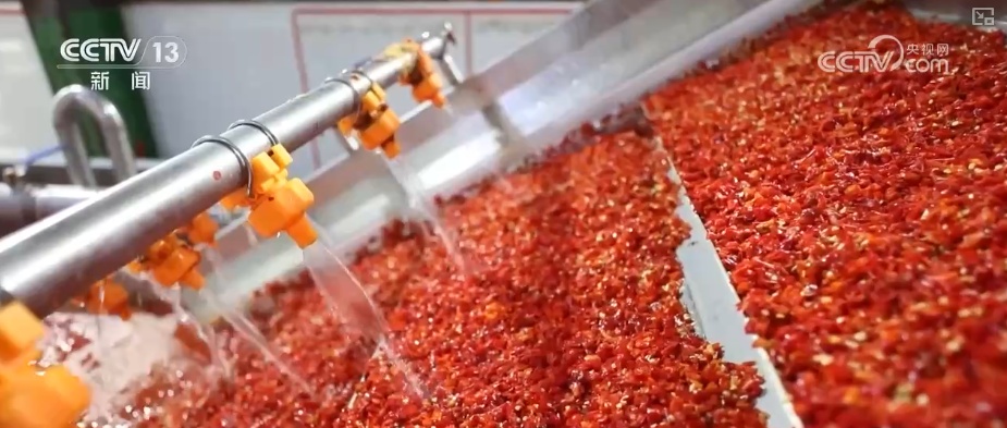 打通“末梢梗阻”城乡共饮放心水 以水为“媒”促增收撑起农户“钱袋子”