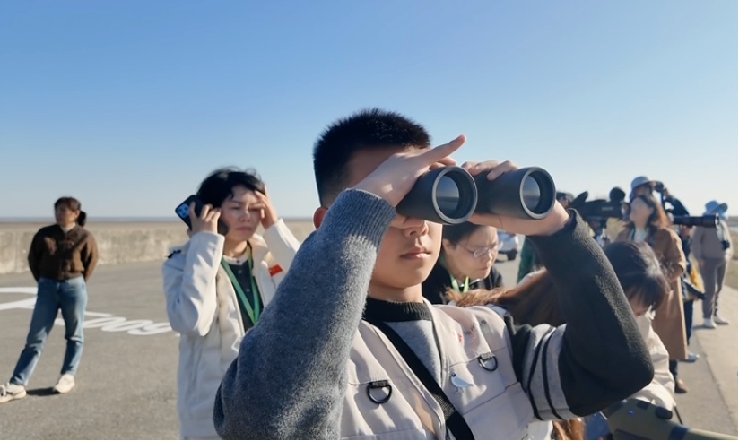 【探索】观群鸟、学科普！2025崇明东滩观鸟生活季启幕→