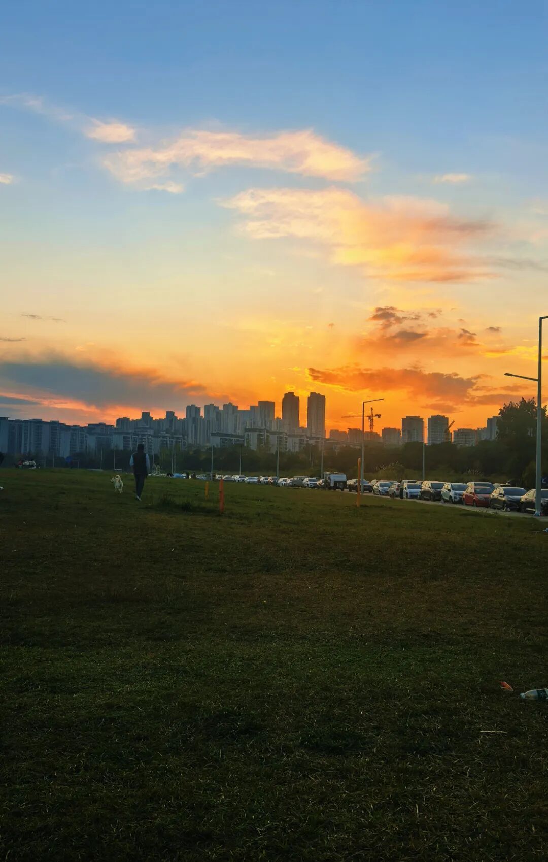 未来三天，成都阳光续费！最高气温19℃