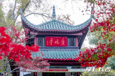 沉醉“枫”景！爱晚亭进入最佳观赏期