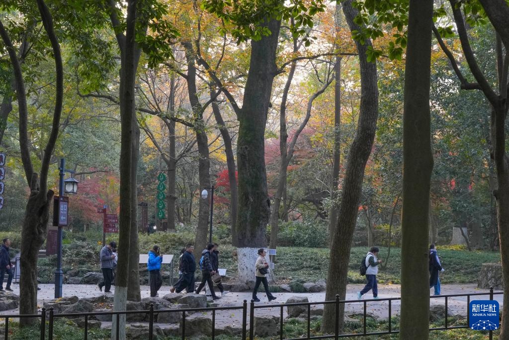 杭州:灵隐飞来峰景区免费开放 杭州:灵隐飞来峰景区免费开放
