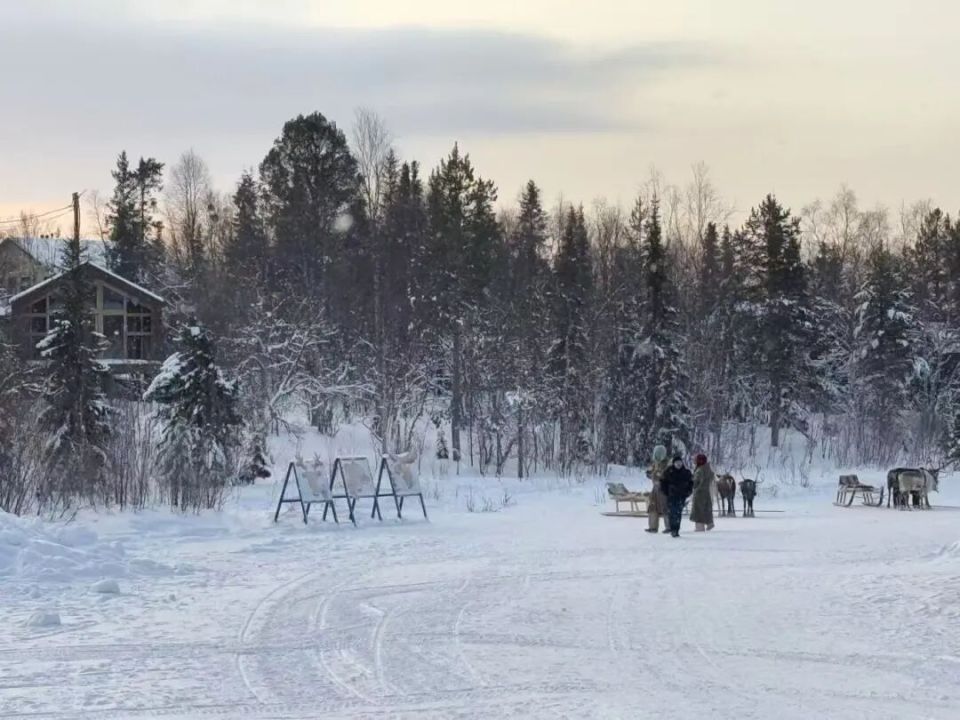 半小时内搜索量暴涨超2倍！赴俄冬游订单爆发式增长，有网友迫不及待了