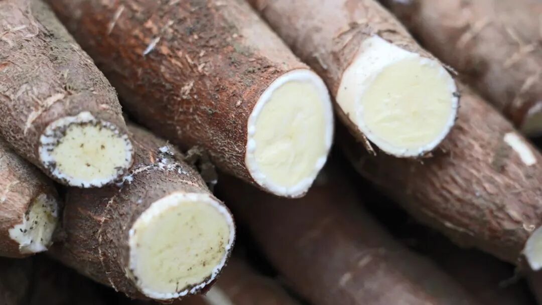 突然火出圈！这款糖水很多广西人爱吃，但有人吃后头晕恶心……医生紧急提醒