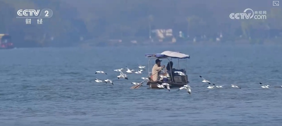 惠民新政撬动消费新增长点 透过火热数据感知城市文旅“温度” 惠民新政撬动消费新增长点 透过火热数据感知城市文旅“温度”