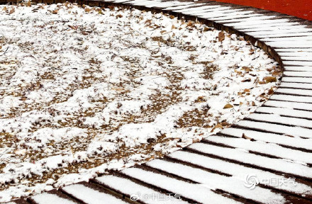 山东威海迎降雪地面银白