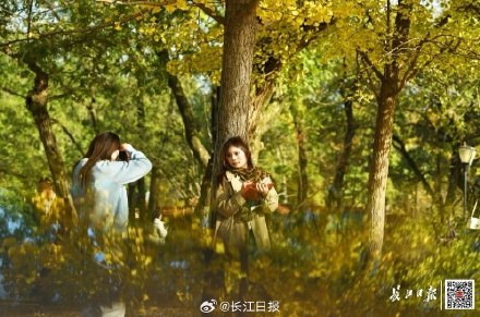 武汉狂降16℃！冷空气今天抵达，武汉人请注意