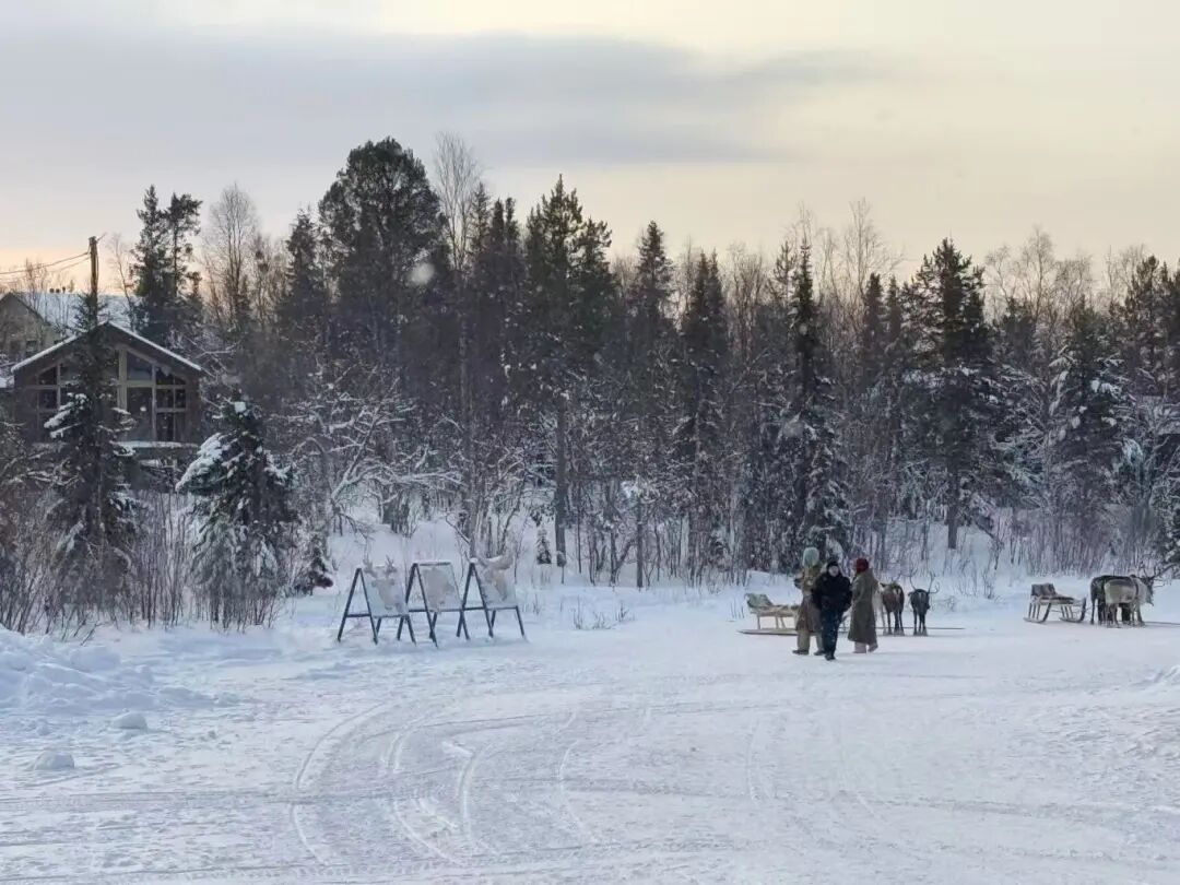 半小时内，搜索量暴涨超2倍！有网友迫不及待了