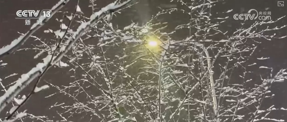 各地细化服务加固大棚、保证热源、加强巡查 办实民生小事保障百姓生产生活