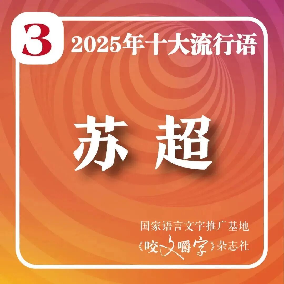 2025年十大流行语公布！网友：感觉每一个词今年都抱过我