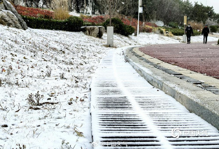 山东威海迎降雪地面银白