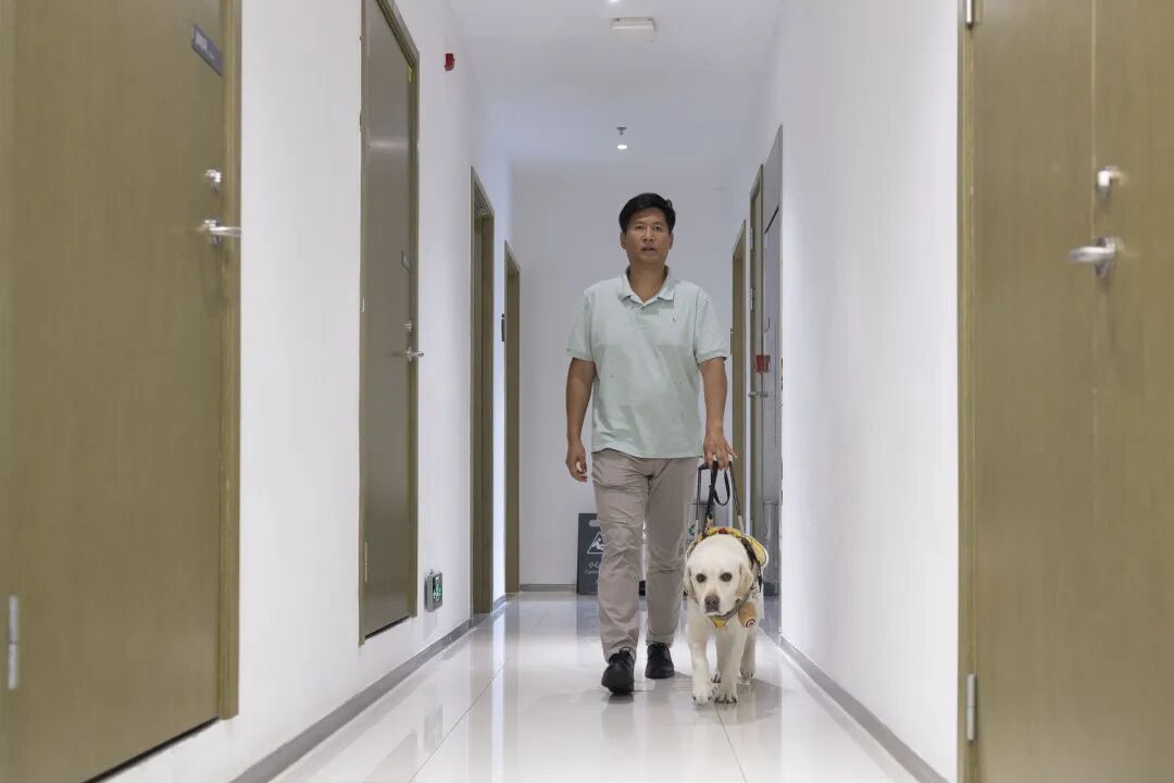 失明八年，广州宝哥带导盲犬走遍全国圈粉百万，如今又站上新舞台