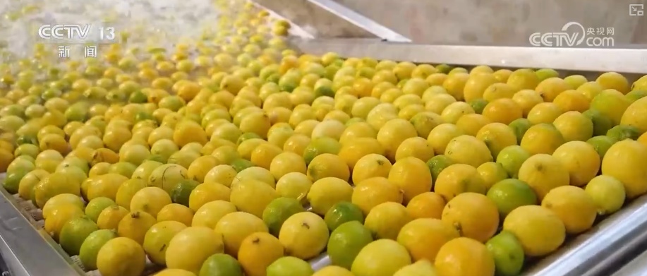 “服务+科技”擦亮特色产业“金字招牌” 农户增收“节节高”