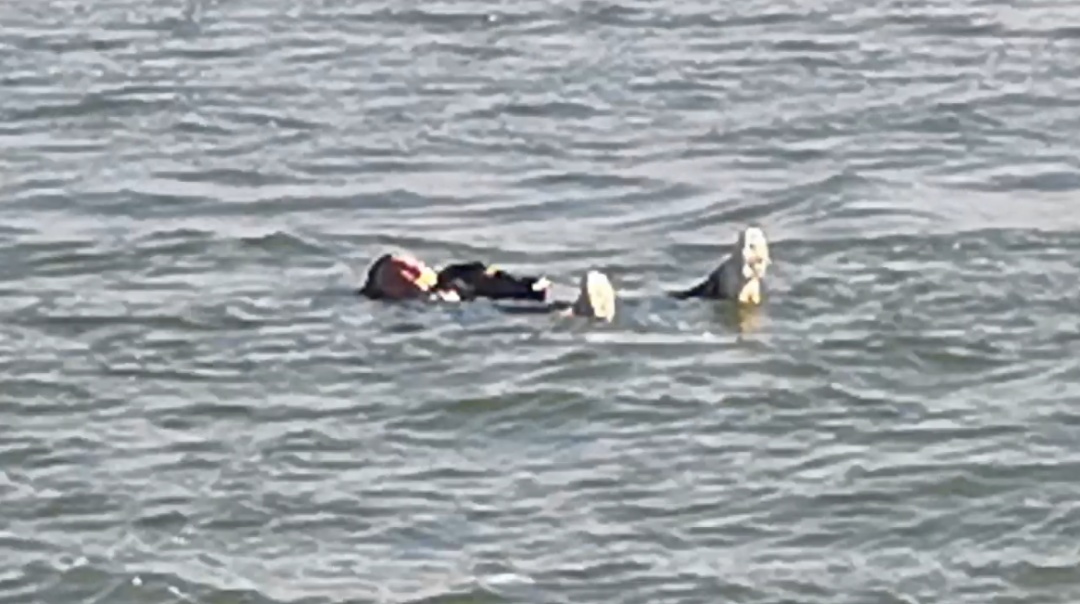 女子跳河自杀未遂，多亏了一件羽绒服……