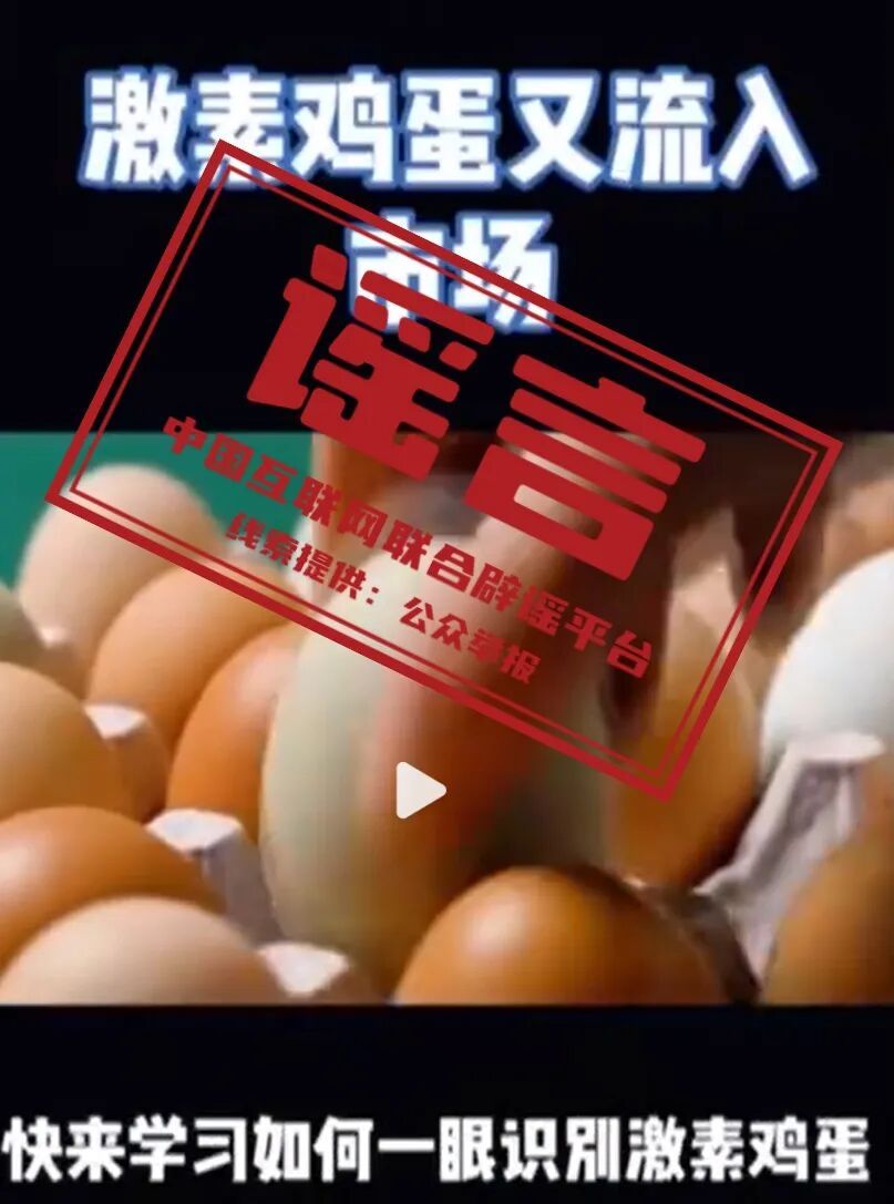 “激素蛋大量流入市场”系谣言