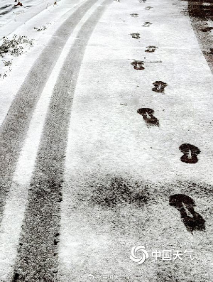 山东威海迎降雪地面银白