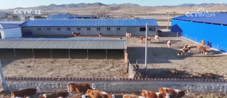 各地细化服务加固大棚、保证热源、加强巡查 办实民生小事保障百姓生产生活