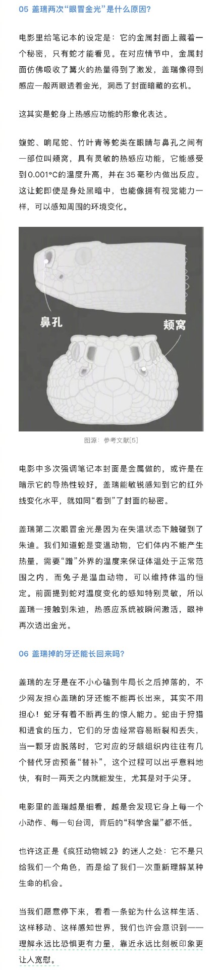 《疯狂动物城2》盖瑞蛇为什么受欢迎 《疯狂动物城2》盖瑞蛇为什么受欢迎