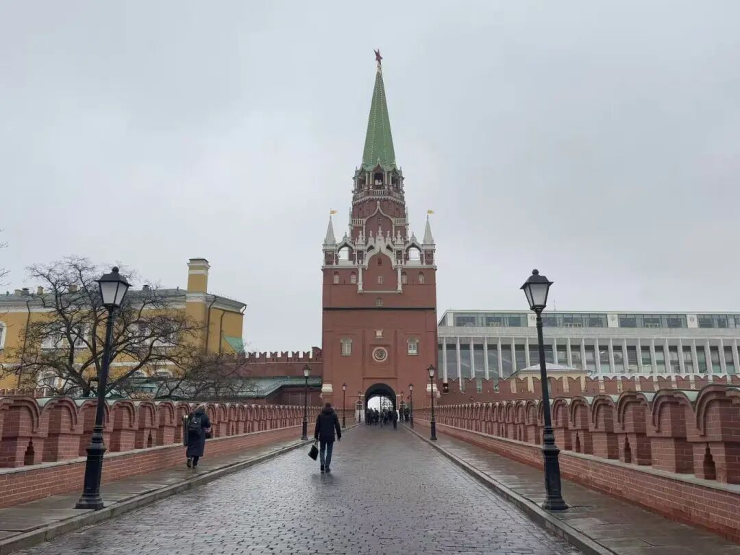 半小时内，搜索量暴涨超2倍！有网友迫不及待了