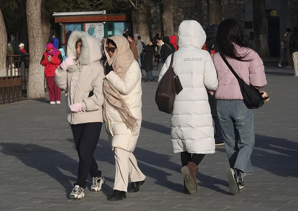 大风、寒潮来袭！这里气温或跌至-21℃！多地下半年来最冷一天来了→