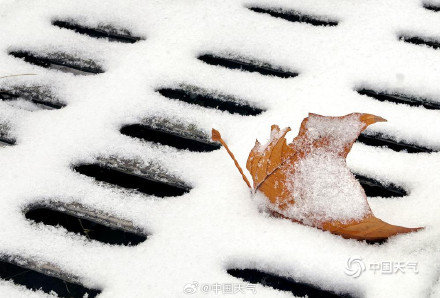 山东威海迎降雪地面银白
