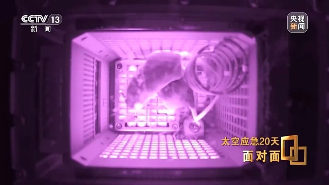 “神二十二乘组”,成为永远空缺的序列号 “神二十二乘组”,成为永远空缺的序列号