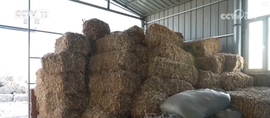 各地细化服务加固大棚、保证热源、加强巡查 办实民生小事保障百姓生产生活