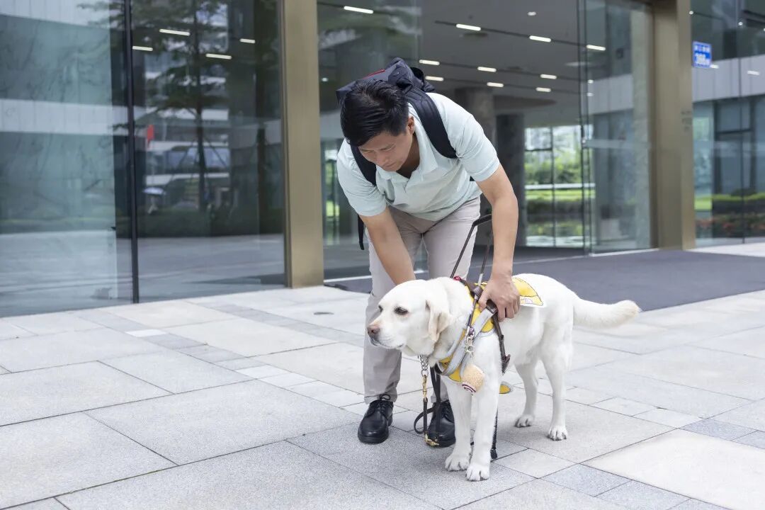 失明八年，广州宝哥带导盲犬走遍全国圈粉百万，如今又站上新舞台
