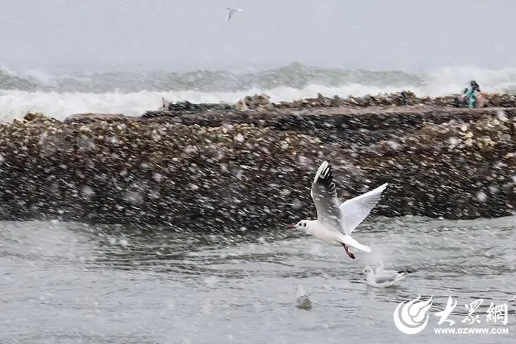 深度5厘米！2市继续降雪，山东发布天气预报