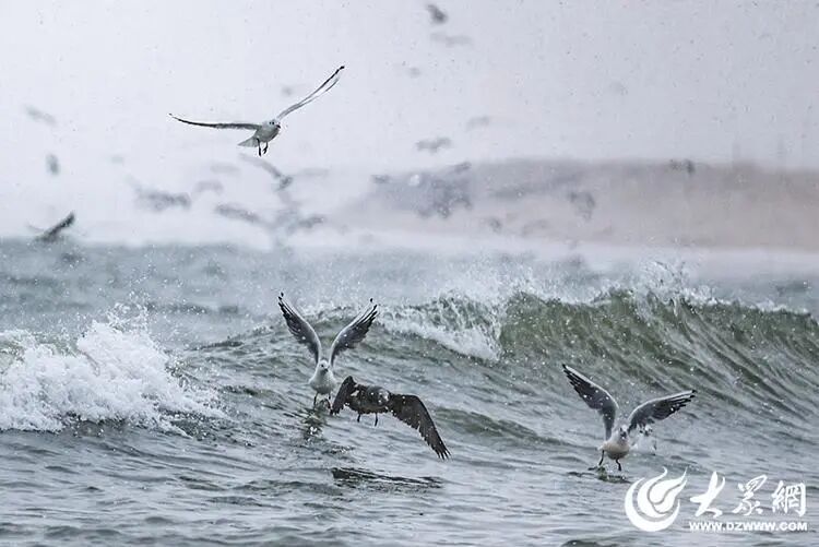 深度5厘米！2市继续降雪，山东发布天气预报