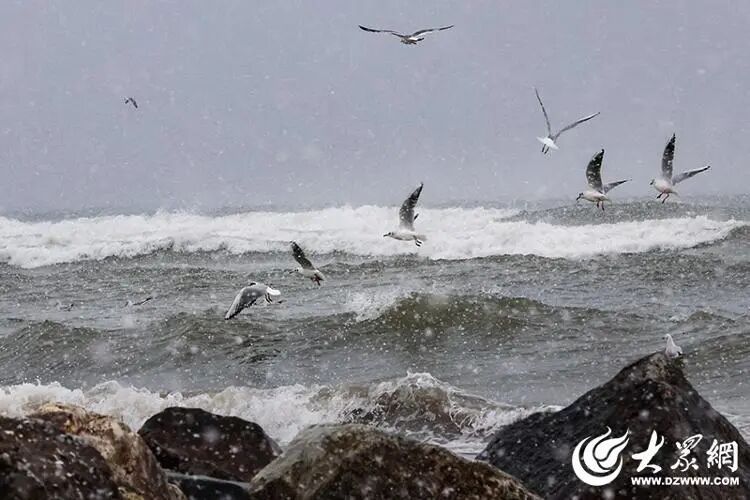 深度5厘米！2市继续降雪，山东发布天气预报