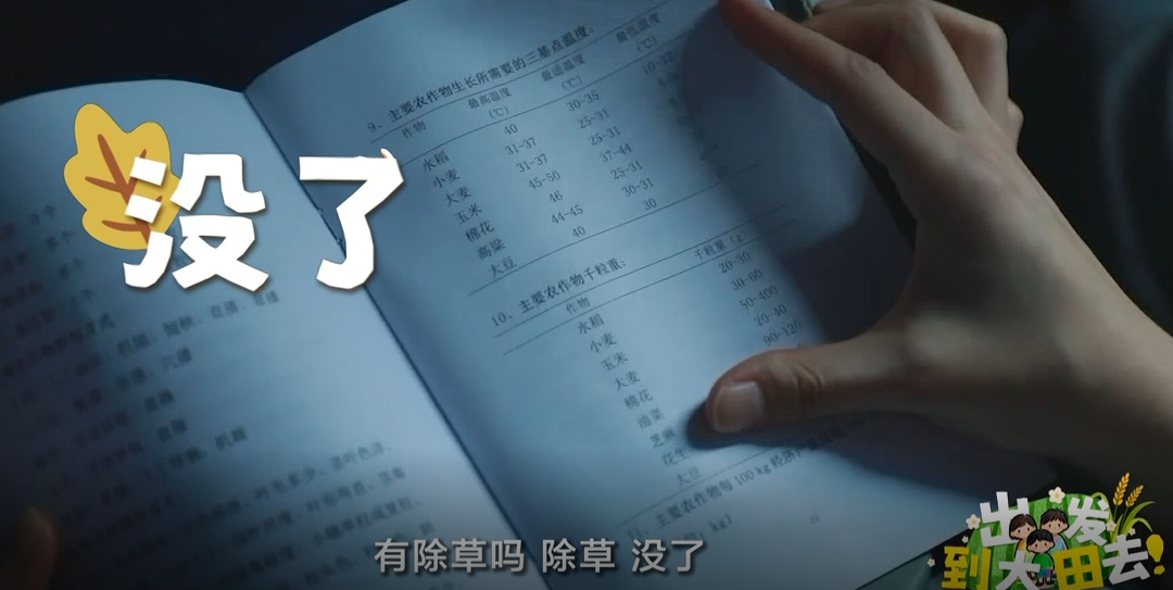 近300名农学子种蚕豆半年,竟颗粒无收?教授反手开“失败课堂” 近300名农学子种蚕豆半年,竟颗粒无收?教授反手开“失败课堂”