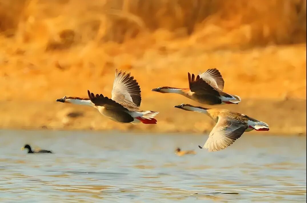 冬日里的童话世界！沈阳宝藏打卡地，攻略来了→