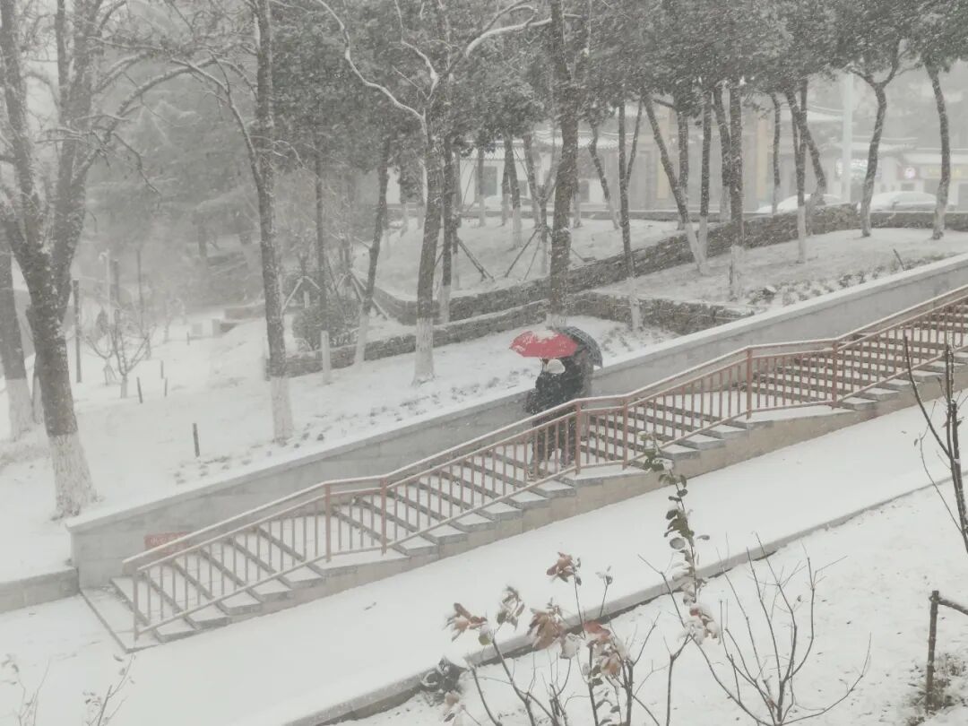 深度5厘米！2市继续降雪，山东发布天气预报