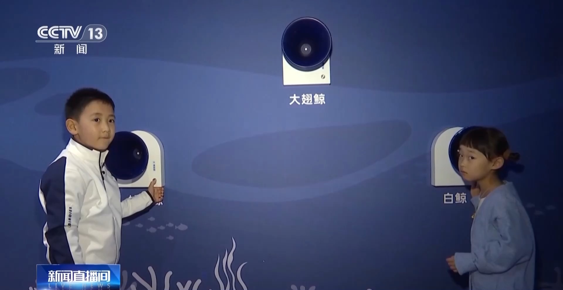 在国家自然博物馆“遇见鲸” 回望5500万年陆海传奇