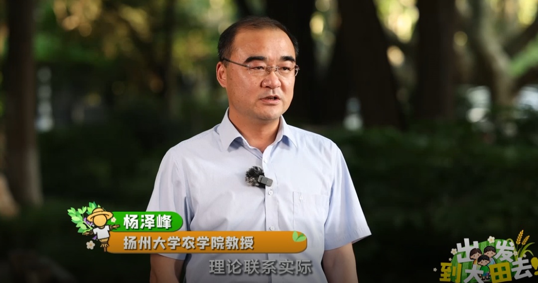 近300名农学子种蚕豆半年,竟颗粒无收?教授反手开“失败课堂” 近300名农学子种蚕豆半年,竟颗粒无收?教授反手开“失败课堂”