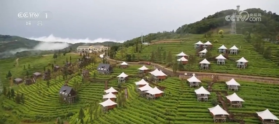 透过数据看中老铁路“黄金大通道”成为两国人民发展路、幸福路